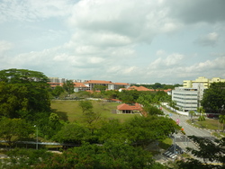 Blk 911 Hougang Street 91 (Hougang), HDB 4 Rooms #160475942